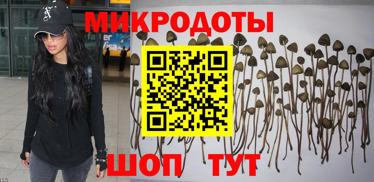 Псилоцибиновые грибы Cubensis  Псилоцибиновые грибы GOLDEN TEACHER  Вход с VPN  Саров 