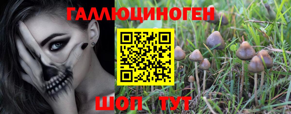 Псилоцибиновые грибы прущие грибы Саров